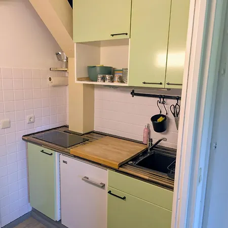 Gemuetliche In Den Bergen Apartamento